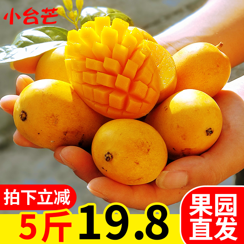 【现货】广西百色小台农芒果当季新鲜水果5斤整箱包邮现摘现发在类目 水产肉类/新鲜蔬果/熟食, 新鲜水果, 芒果中 - 来自Buy2taobao.com提供专业的淘宝代购服务