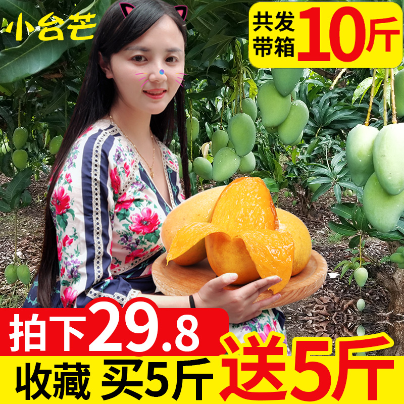 【現貨】廣西百色小台農芒果當季新鮮水果帶箱10斤包郵現摘現發在類目 水產肉類/新鮮蔬果/熟食, 新鮮水果, 芒果中 - 來自Buy2taobao.com提供專業的淘寶代購服務