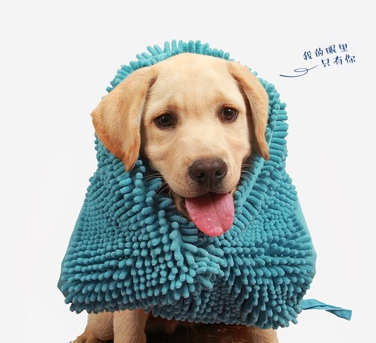 Husky bibulous golden retriever large towel samoyeds large|ruв категории животное/Животное питание и принадлежностей, кошка/собака красоты уборки, полотенце/полотенце/всасывающий полотенце - от Buy2taobao.com для оказания профессиональной услуги покупки агента Taobao