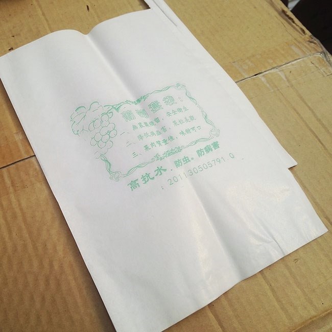 莲雾水果葡萄专用半透明套袋防虫纸袋袋葡萄套水果的袋防鸟子|ruв категории доставка цветов/цветок моделирования/растения садоводства, садовых принадлежностей, других садовых принадлежностей - от Buy2taobao.com для оказания профессиональной услуги покупки агента Taobao