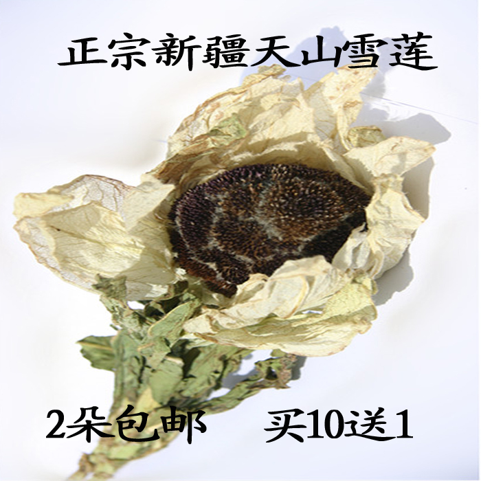 新疆天山野生雪莲花名贵中药材养生滋补泡酒海拔4000米以上|ruв категории традиционные питательный пища, другие традиционные тоник, другие традиционные тоник - от Buy2taobao.com для оказания профессиональной услуги покупки агента Taobao