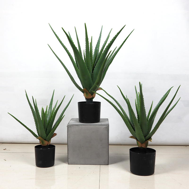 High simulation aloe Botany Soft glue Feel texture of material Potted plant Succulent plants bonsai large Succulent plants Decorationin the Home accessories , Vase/Flower/Artificial flowers/Imitation jewelry , Bonsai plant simulation category - from Buy2taobao.com to provide professional Taobao agent buy service