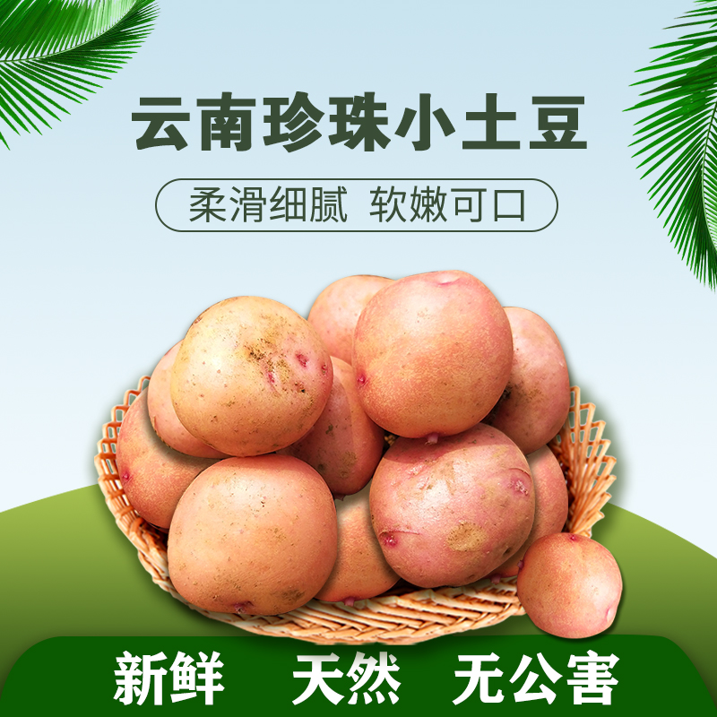 云南珍珠小土豆净果9斤包邮 农家新鲜红皮黄心迷你洋芋马铃薯蔬菜|ruв категории водной мясо/свежие фрукты и овощи/еда, свежие овощи/овощной продукции, свежие овощи, картофель - от Buy2taobao.com для оказания профессиональной услуги покупки агента Taobao