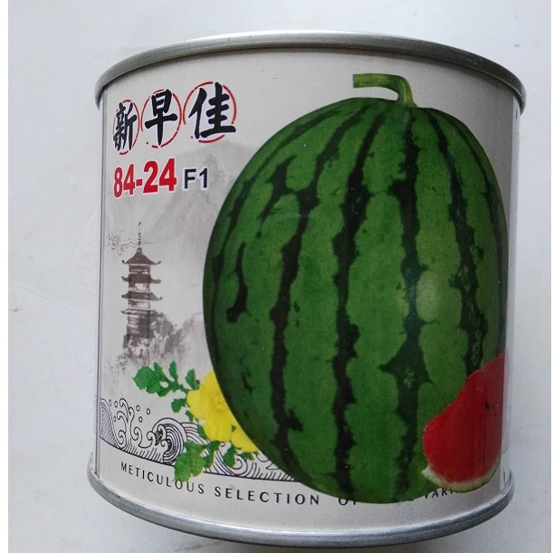 Early maturing and early good 8424 watermelon seed unicorn Watermelon seed High yield Pellicle Large watermelon fruit seedin the Agricultural goods , Seed/Seedlings , Vegetable Seeds category - from Buy2taobao.com to provide professional Taobao agent buy service