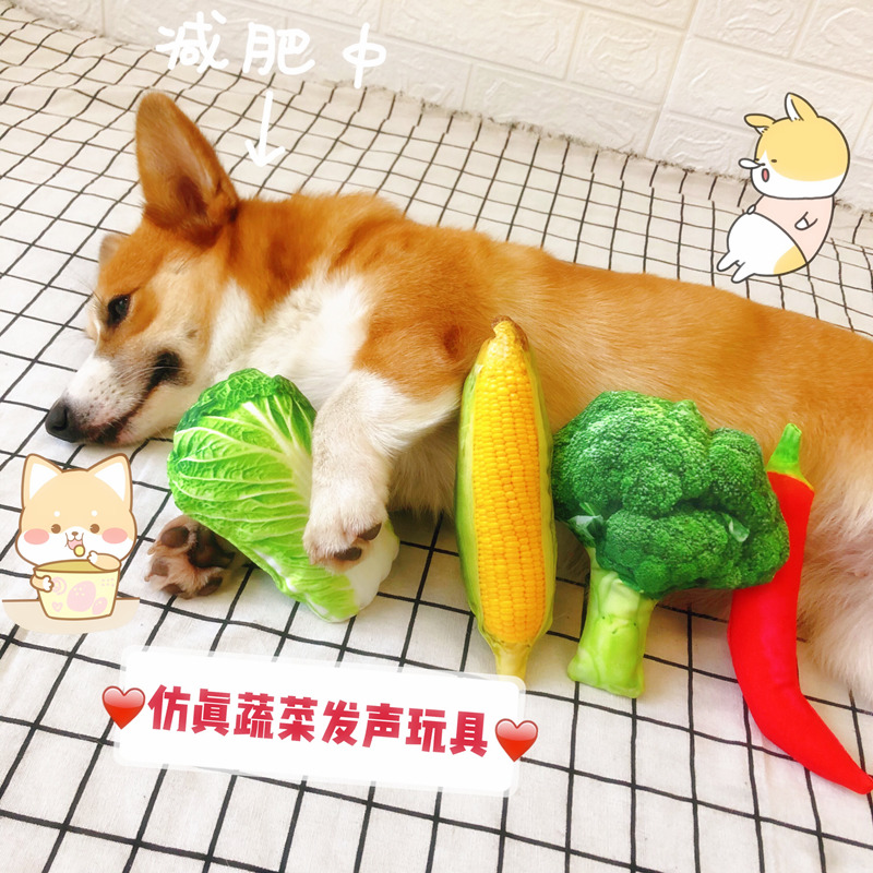 宠物狗狗仿真食物发声玩具耐咬磨牙柯基法斗幼犬小型犬发泄狗用品|ruв категории животное/Животное питание и принадлежностей, кошка/собака игрушка, звучание игрушка - от Buy2taobao.com для оказания профессиональной услуги покупки агента Taobao
