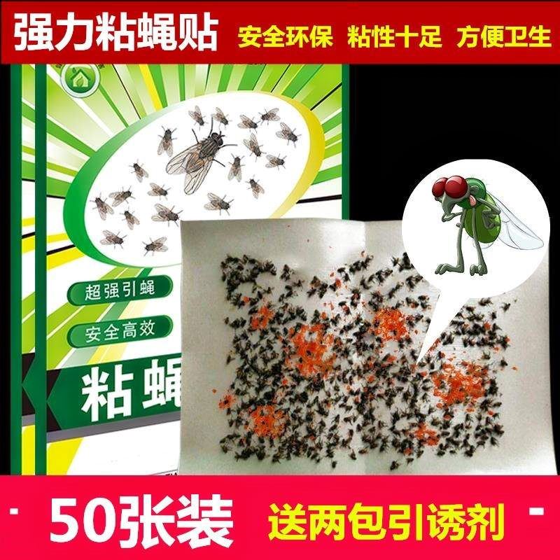 Melon and fruit Fruit fly Sheet fly Flies board Armyworm Fruit fly fly Agentin the Home Daily , Deworming supplies , Flypaper category - from Buy2taobao.com to provide professional Taobao agent buy service