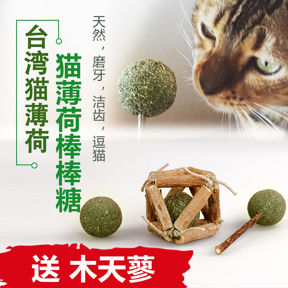 貓薄荷棒棒糖貓咪用品 貓玩具化毛零食磨牙棒逗貓棒玲珑球木天蓼在類目 寵物/寵物食品及用品, 貓/狗玩具, 逗貓棒中 - 來自Buy2taobao.com提供專業的淘寶代購服務