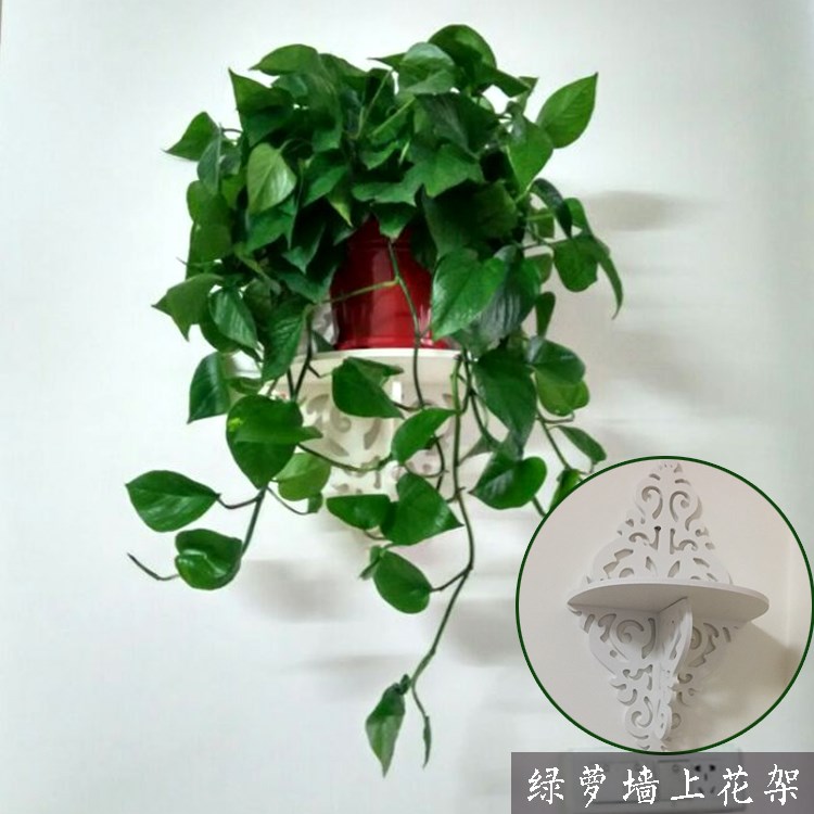 新品墙上置物架墙面背景装饰架搁板创意简约墙壁挂绿萝花架免打孔|ruв категории Домашний быт, декоративная рамка/декоративные шельфа - от Buy2taobao.com для оказания профессиональной услуги покупки агента Taobao