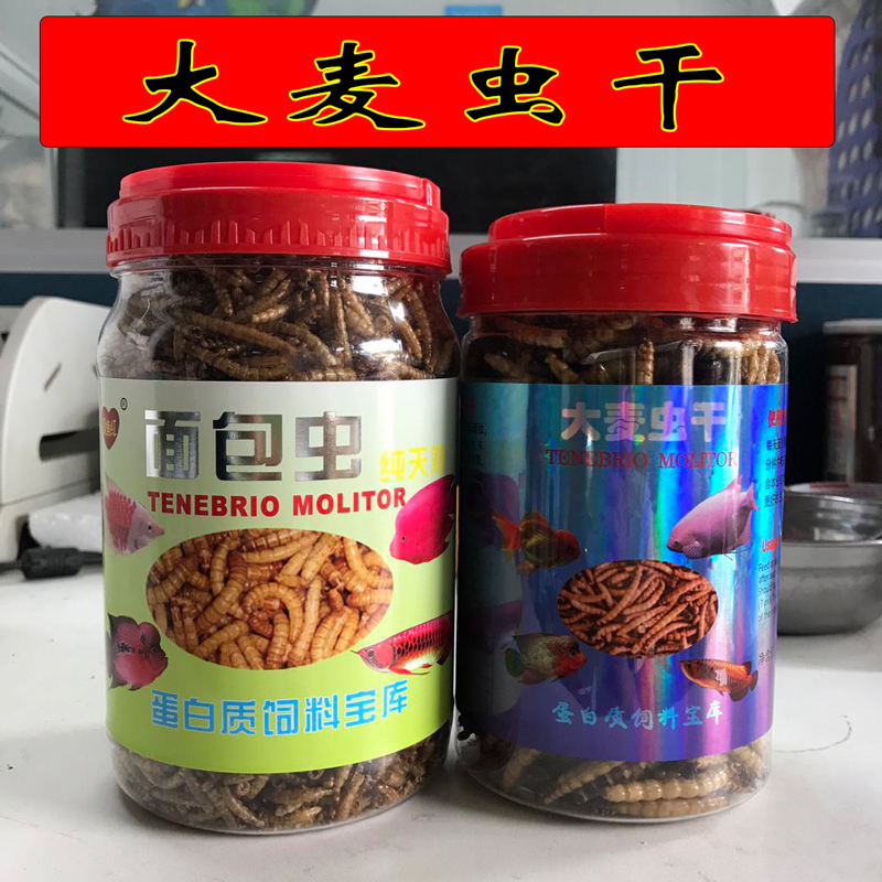 錦鯉魚飼料錦裏魚食紅鹦鹉銀龍魚飼料大麥蟲幹地圖血鹦鹉黃粉蟲幹在類目 寵物/寵物食品及用品, 水族世界, 觀賞魚飼料中 - 來自Buy2taobao.com提供專業的淘寶代購服務