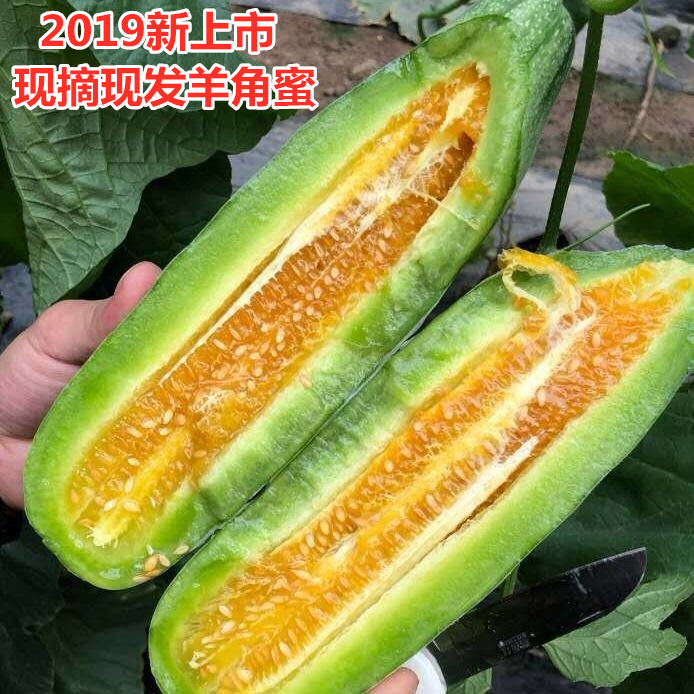 山东羊角蜜甜瓜带箱5斤水果新鲜当季香瓜应季蜜瓜时令生鲜小脆瓜在类目 水产肉类/新鲜蔬果/熟食, 新鲜水果, 其它中 - 来自Buy2taobao.com提供专业的淘宝代购服务