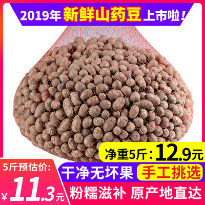 2019新鲜山药豆5斤中小号铁棍淮三约蛋种子陈集铁杆怀山糖葫芦果