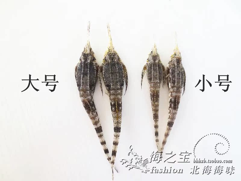 促销 北海海洋泡酒料药材干货 大号海麻雀干 煲汤滋补 1对|msdalam kategori daging perikanan/Buah-buahan segar dan sayur-sayuran/dimasak, makanan laut/produk akuatik/produk, lain - dari Buy2taobao.com untuk memberikan perkhidmatan ejen Taobao profesional membeli