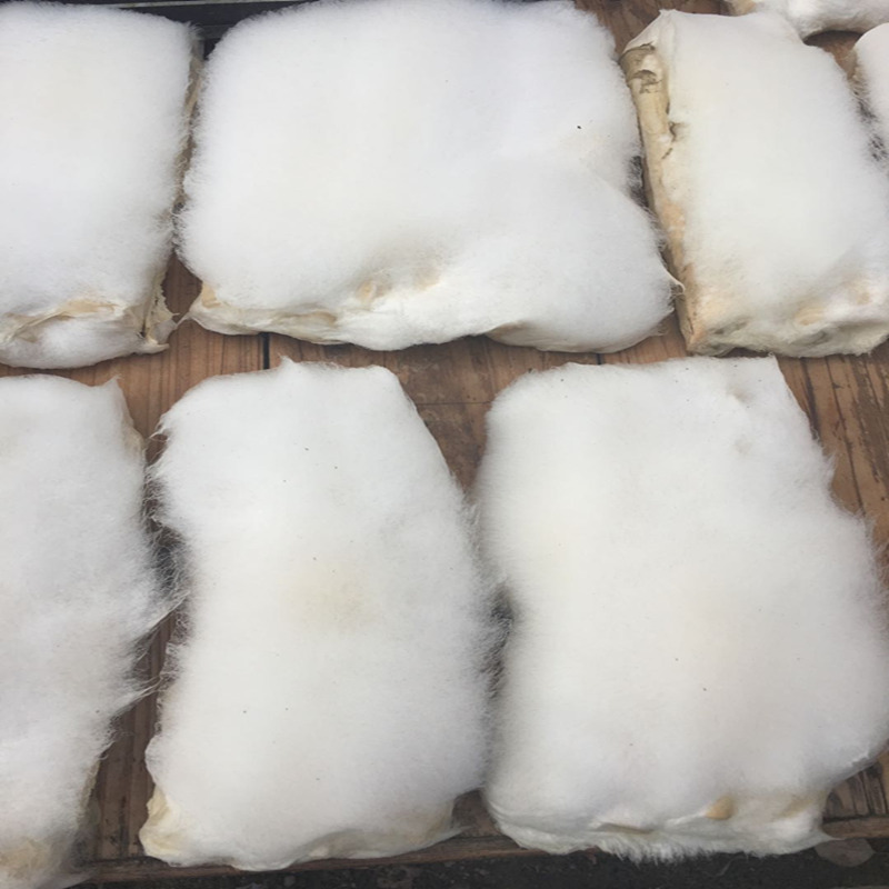 5份包郵 湖北隨州特産 廣水黴千張卷 臭豆腐卷 農家自制稻草黴制在類目 糧油米麪/南北乾貨/調味品, 米/麪粉/雜糧, 豆類, 其它中 - 來自Buy2taobao.com提供專業的淘寶代購服務