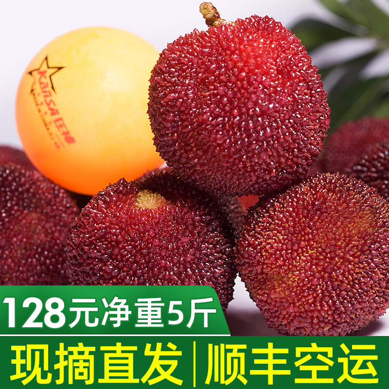 杨梅 新鲜5斤现摘现发当季水果多汁孕妇仙居东魁杨梅10整箱包邮|msdalam kategori daging perikanan/Buah-buahan segar dan sayur-sayuran/dimasak, buah-buahan segar, lain - dari Buy2taobao.com untuk memberikan perkhidmatan ejen Taobao profesional membeli