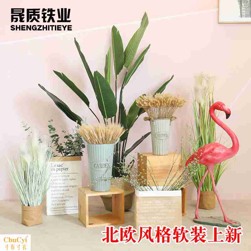 北欧落地仿真植物摆件 绿植旅人焦 狗尾巴草尤加利装修装饰服装店在类目 商业/办公家具, 货架/展柜, 其它货架中 - 来自Buy2taobao.com提供专业的淘宝代购服务