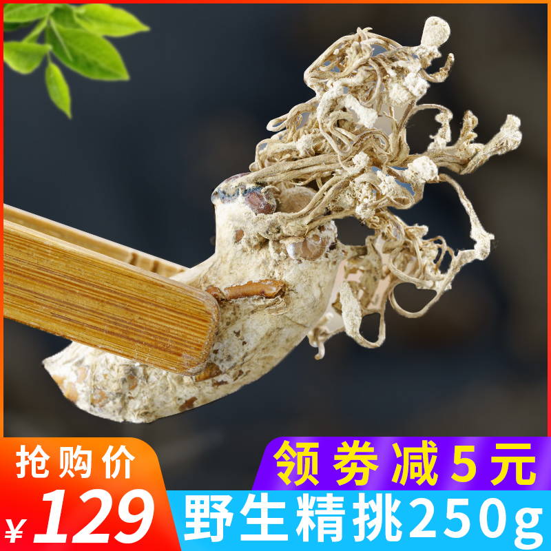 金蟬花 2018年野生金蟬花大別山正品蟬花250g知了花金蟬花蟲草粉在類目 傳統滋補營養品, 其他傳統滋補品, 金蟬花中 - 來自Buy2taobao.com提供專業的淘寶代購服務