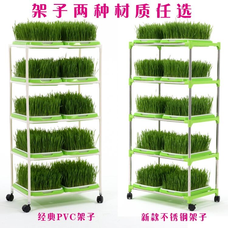 发芽双层阳台通用豆芽盘架子种子家庭创意豆芽菜菜盆上豆芽网格盘在类目 鲜花速递/花卉仿真/绿植园艺, 园艺用品, 育苗盘/营养钵中 - 来自Buy2taobao.com提供专业的淘宝代购服务
