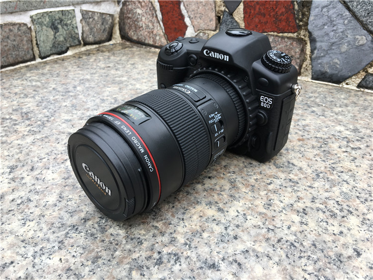 单反相机模型 佳能EOS 80D+镜头EF100mm仿真模型 摄影道具摆件在类目 玩具/童车/益智/积木/模型, 静态模型, 其他模型玩具中 - 来自Buy2taobao.com提供专业的淘宝代购服务