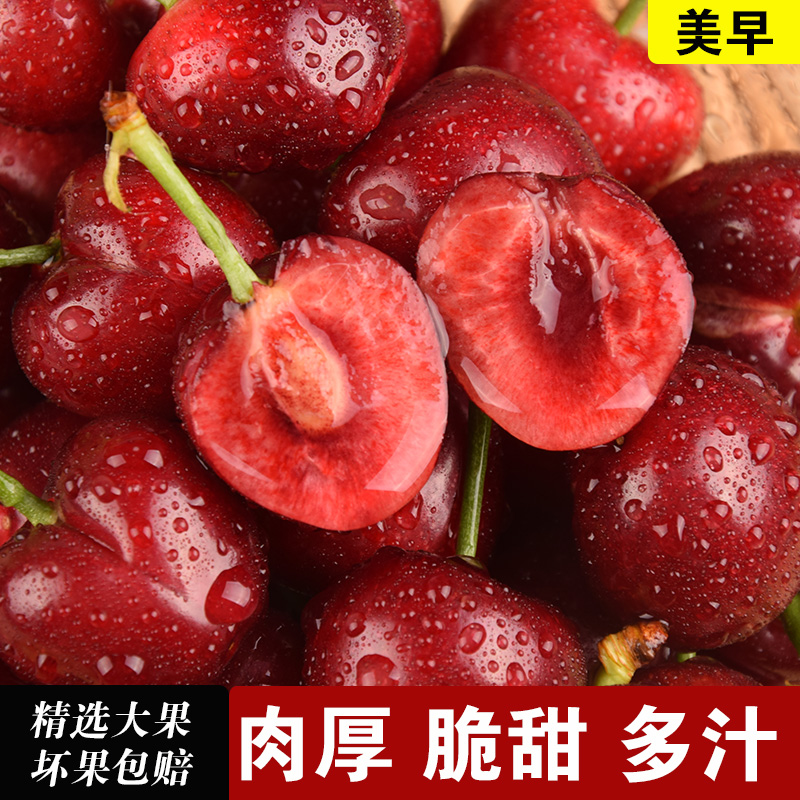 【顺丰包邮】山东大樱桃车厘子3斤 新鲜孕妇水果当季国产非烟台|msdalam kategori daging perikanan/Buah-buahan segar dan sayur-sayuran/dimasak, buah-buahan segar, ceri/ceri - dari Buy2taobao.com untuk memberikan perkhidmatan ejen Taobao profesional membeli
