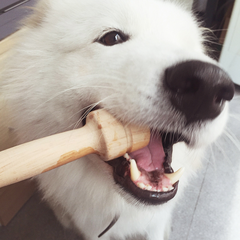 日本多格漫木头哑铃宠物磨牙棒大中小型狗狗磨牙犬玩具缓解压力|ruв категории животное/Животное питание и принадлежностей, кошка/собака игрушка, резиновый мяч/сферическая игрушки - от Buy2taobao.com для оказания профессиональной услуги покупки агента Taobao