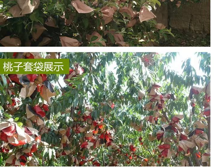 防虫套黄桃果袋包装水果水果袋套袋枇杷套袋器保护撑口单层纸质|ruв категории доставка цветов/цветок моделирования/растения садоводства, садовых принадлежностей, других садовых принадлежностей - от Buy2taobao.com для оказания профессиональной услуги покупки агента Taobao