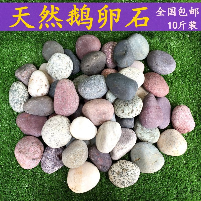 新天然鹅卵石石头铺路石子园艺布景石鱼缸雨花石鹅暖石铺地9斤包在类目 鲜花速递/花卉仿真/绿植园艺, 园艺用品, 其它园艺用品中 - 来自Buy2taobao.com提供专业的淘宝代购服务