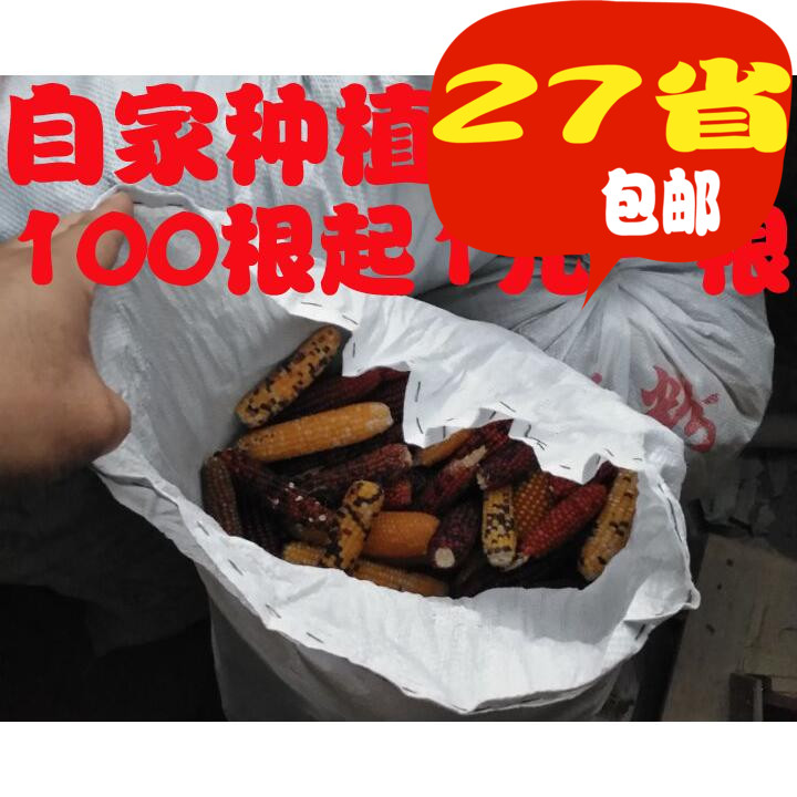 仓鼠金丝熊兔子龙猫荷兰猪松鼠天然磨牙迷你玉米棒小宠物零食用品|msdalam kategori haiwan peliharaan/makanan haiwan dan bekalan, hamsters kelas haiwan peliharaan dan lain-lain kecil, Feed/makanan ringan - dari Buy2taobao.com untuk memberikan perkhidmatan ejen Taobao profesional membeli