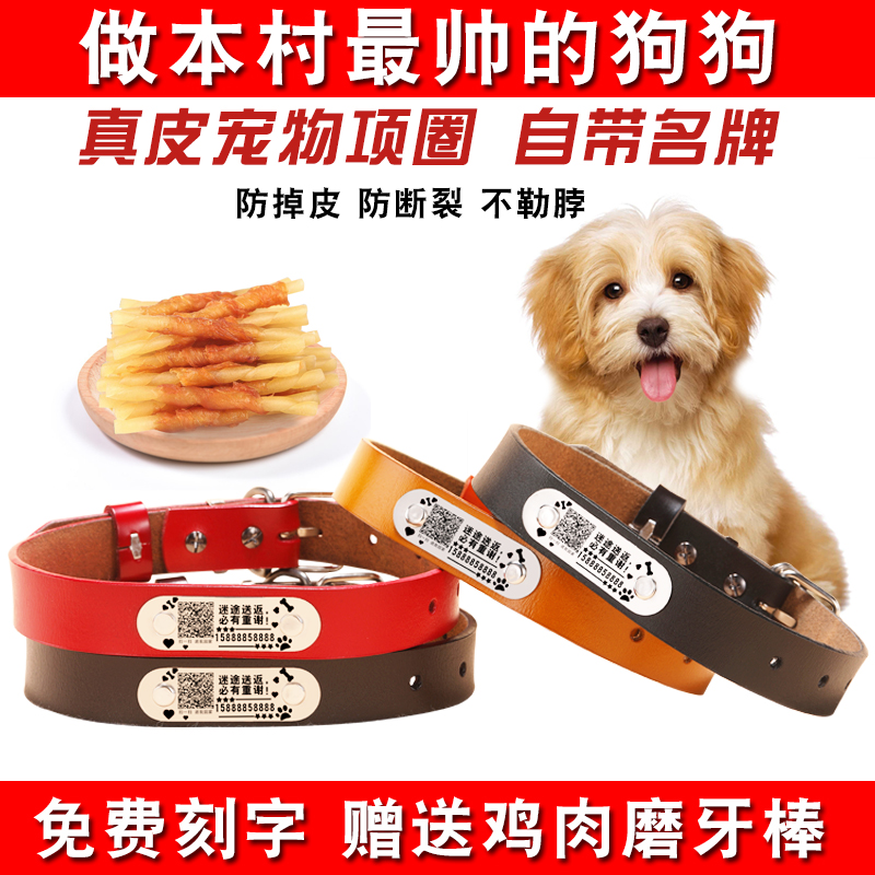 真皮刻字狗项圈防丢猫咪狗牌中小型犬大型犬狗圈颈圈脖圈宠物用品在类目 宠物/宠物食品及用品, 猫/狗日用品, 项圈中 - 来自Buy2taobao.com提供专业的淘宝代购服务