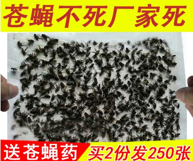 【促销】100片家用餐馆苍蝇蚊子贴粘蝇纸板蚊虫帖灭苍蝇贴胶捕蝇|ruв категории начало ежедневно, дегельминтизация товаров, липучка - от Buy2taobao.com для оказания профессиональной услуги покупки агента Taobao