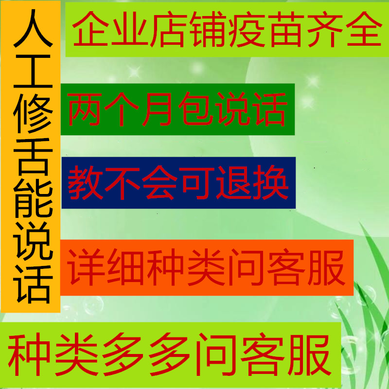 living thing parrot Pet birds Tiger yellow Parakeet parrot Bird food Cockatiel living thingin the Pet/Pet food and supplies , Birds and supplies , Bird category - from Buy2taobao.com to provide professional Taobao agent buy service