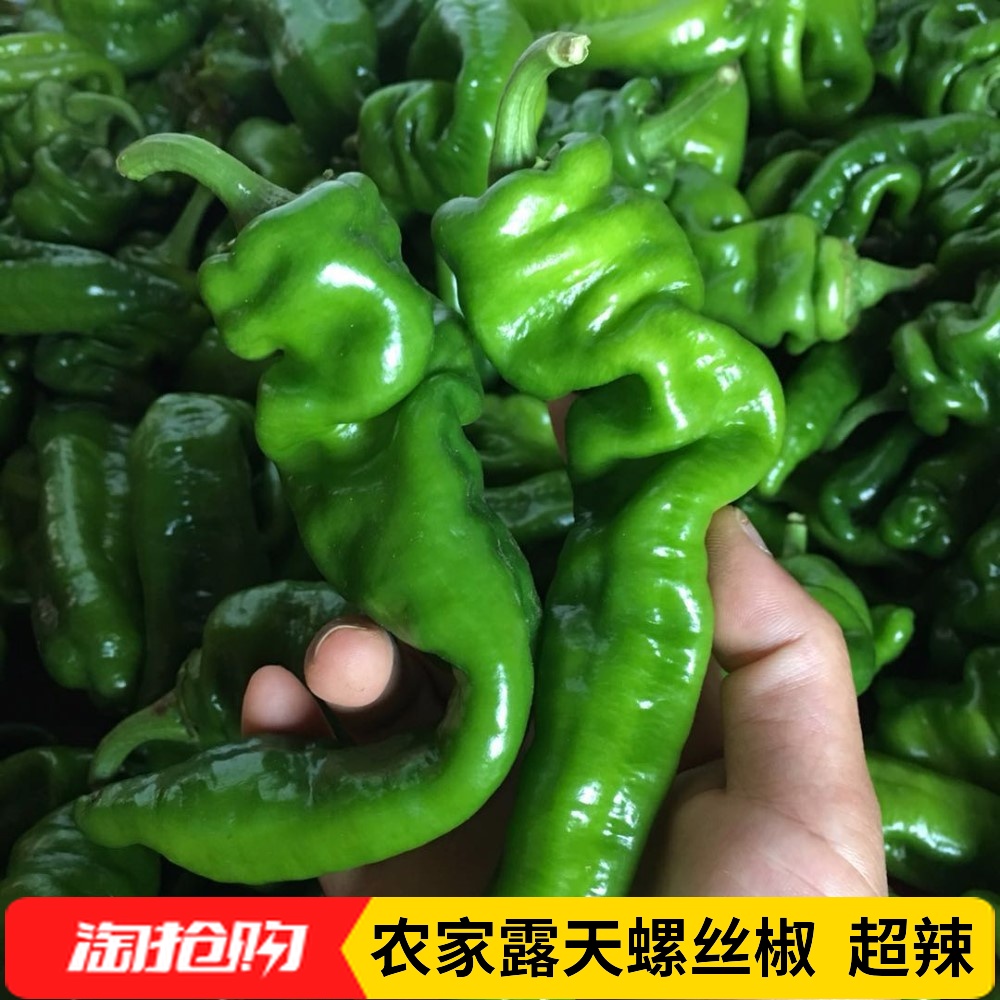 【農家蔬菜】湖北本地螺絲椒新鮮現摘自種薄皮超辣青尖椒5斤包郵在類目 水產肉類/新鮮蔬果/熟食, 新鮮蔬菜/蔬菜製品, 新鮮蔬菜, 其它中 - 來自Buy2taobao.com提供專業的淘寶代購服務