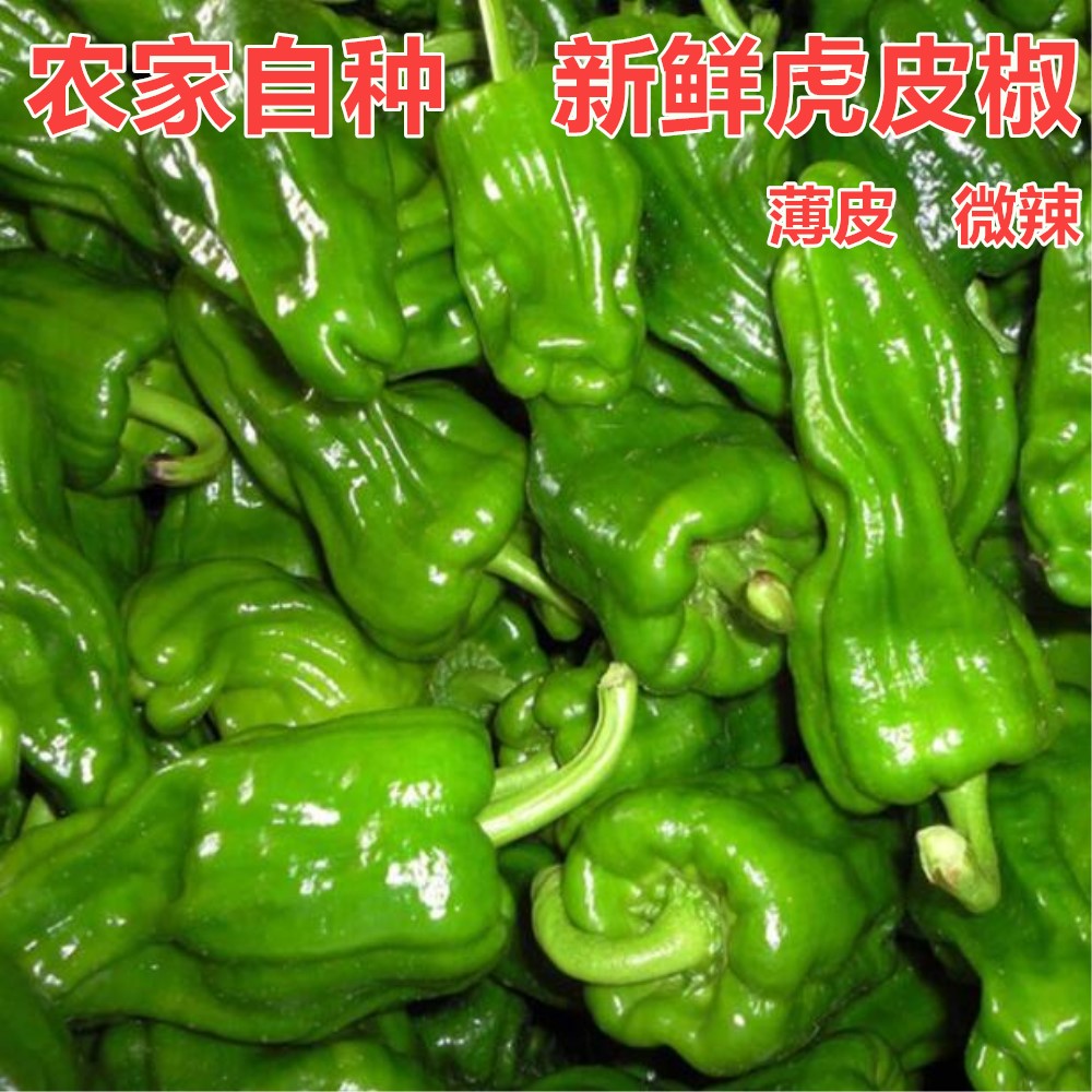 湖北新鲜虎皮青椒农家自种新鲜蔬菜青辣椒薄皮微辣青椒现摘3斤装在类目 水产肉类/新鲜蔬果/熟食, 新鲜蔬菜/蔬菜制品, 新鲜蔬菜, 其它中 - 来自Buy2taobao.com提供专业的淘宝代购服务