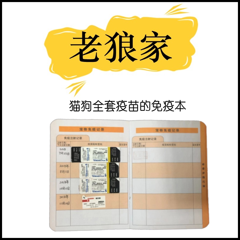 宠物疫苗本带疫苗贴纸全套免疫证猫狗免疫本子办理狂犬疫苗贴纸在类目 宠物/宠物食品及用品, 猫/狗医疗用品(新), 其他中 - 来自Buy2taobao.com提供专业的淘宝代购服务