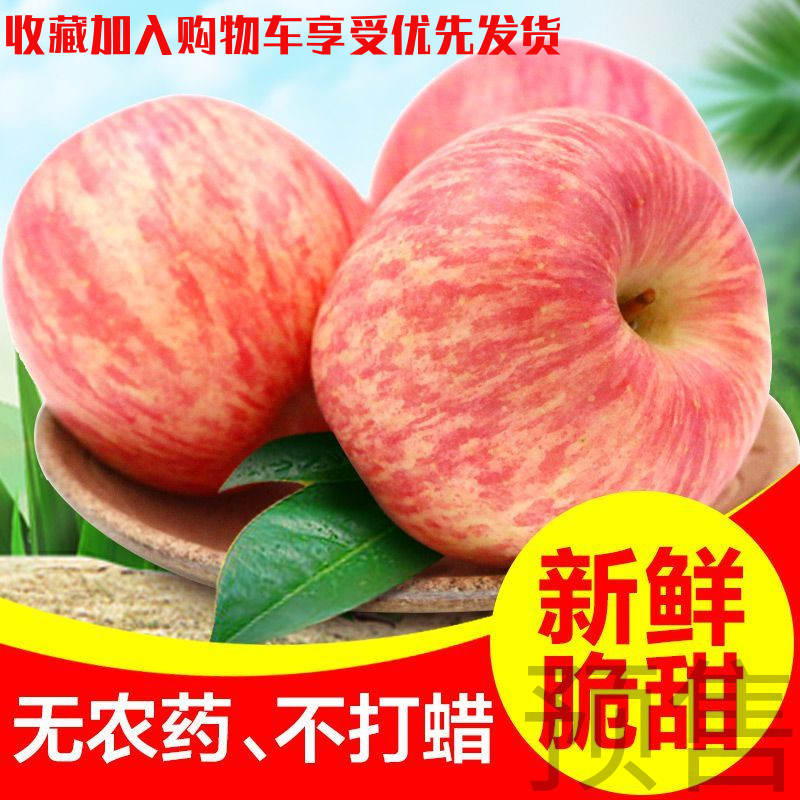 Shandong Yantai Fuji apple 75mm Above fruit fresh Red Fuji Apple 5 poundsin the Aquatic meat/Fresh fruits and vegetables/Cooked , Fresh fruit , Apple category - from Buy2taobao.com to provide professional Taobao agent buy service