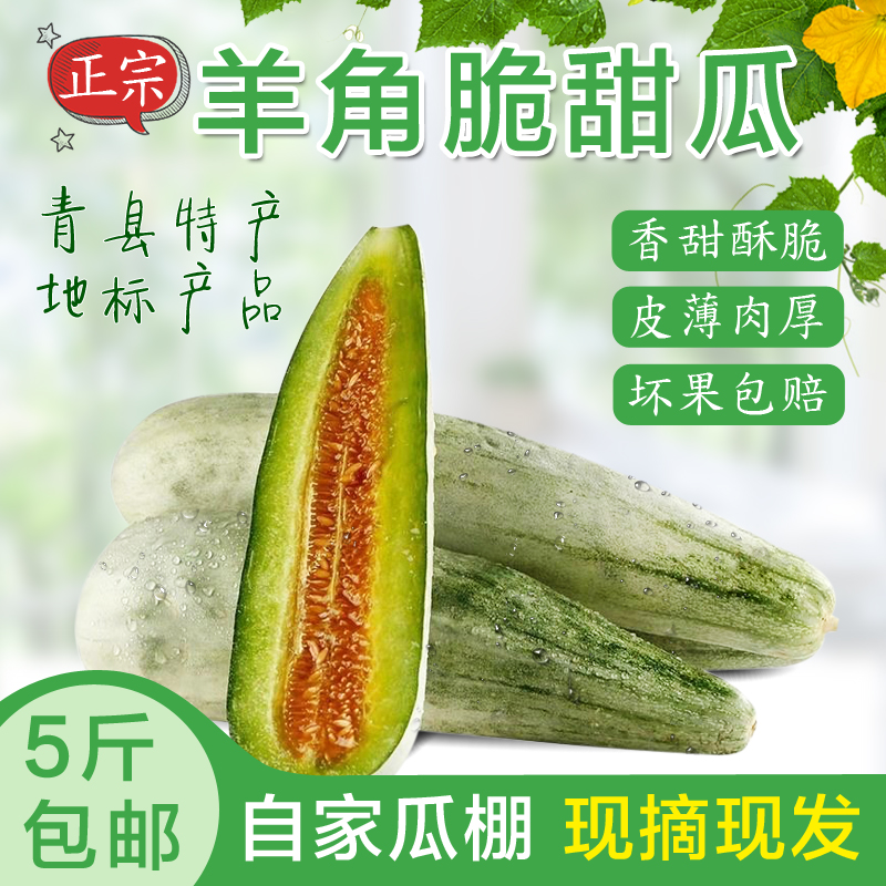 Qingxian County Claw honey muskmelon fresh pregnant woman children Nutrition Muskmelon goods in stock Pick Safeguard freshin the Aquatic meat/Fresh fruits and vegetables/Cooked , Fresh fruit , Cantaloupe category - from Buy2taobao.com to provide professional Taobao agent buy service