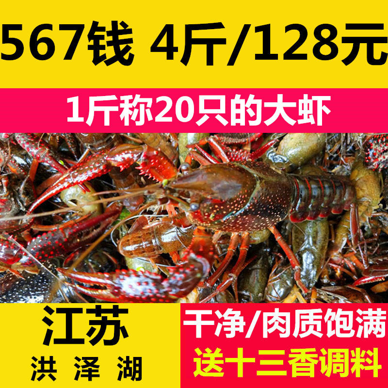 江苏鲜活小龙虾 盱眙稻田养殖清水虾海虾567钱活体虾中虾顺丰包邮|ruв категории водной мясо/свежие фрукты и овощи/еда, морепродукты/водные продукты/изделия, креветки, жить креветки - от Buy2taobao.com для оказания профессиональной услуги покупки агента Taobao