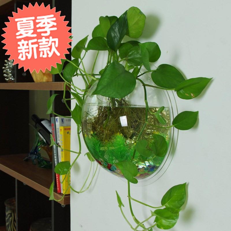 盆景加厚容器挂壁牆上花盆壁挂綠蘿牆上置物架免釘挂牆牆壁衛生間在類目 家居飾品, 壁飾中 - 來自Buy2taobao.com提供專業的淘寶代購服務