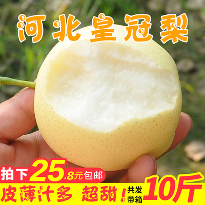 皇冠梨带箱10斤包邮当季现摘新鲜水果梨子雪梨砀山梨香梨酥梨脆梨