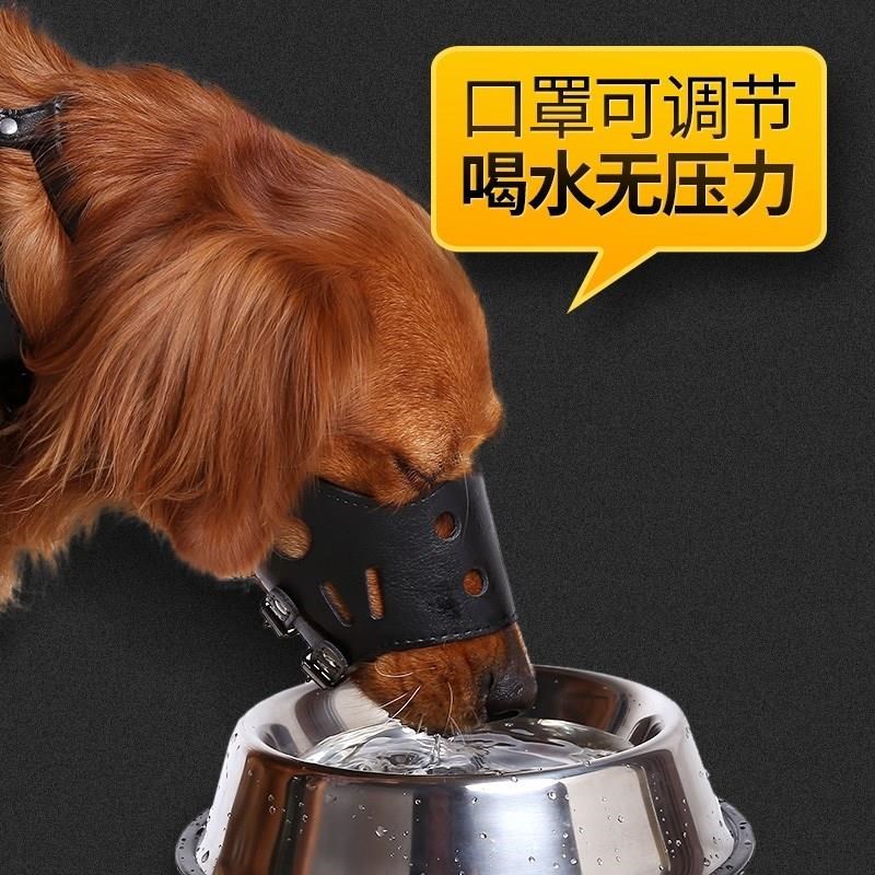拉布拉多小狗博美专用边牧防咬叫金毛狗套狗狗嘴套透气通用嘴巴用|ruв категории начало ежедневно, защитное оборудование, маска - от Buy2taobao.com для оказания профессиональной услуги покупки агента Taobao