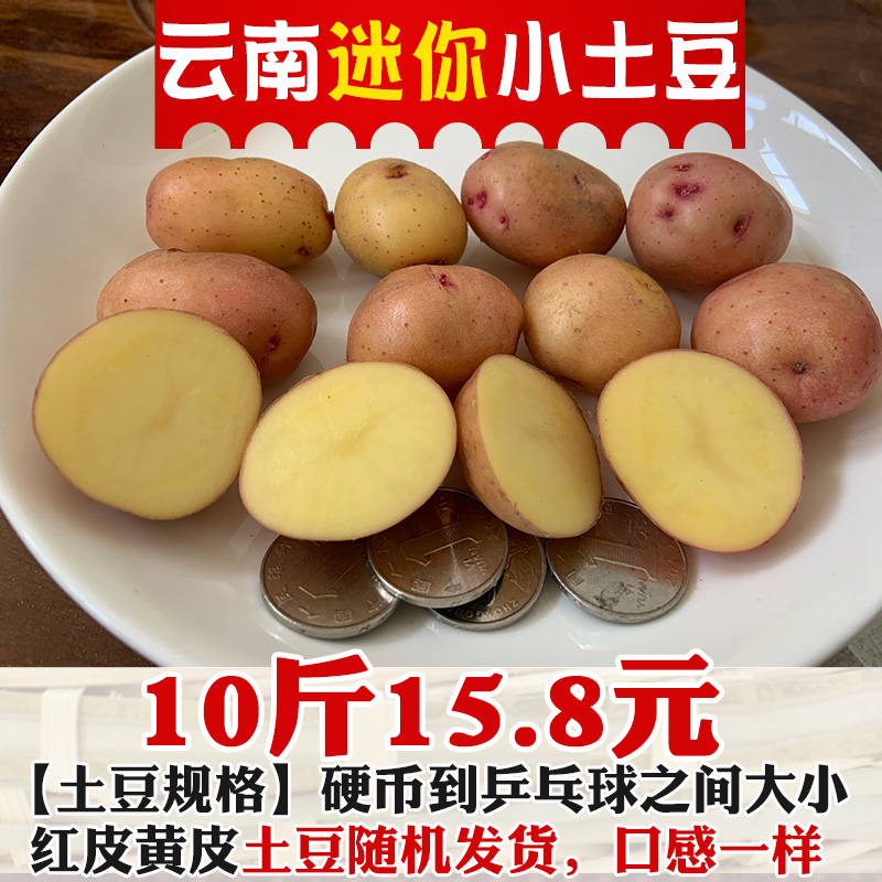 迷妳小土豆雲南新鮮農家蔬菜紅皮黃皮黃心土豆馬鈴薯洋芋帶箱10斤在類目 水產肉類/新鮮蔬果/熟食, 新鮮蔬菜/蔬菜製品, 新鮮蔬菜, 土豆中 - 來自Buy2taobao.com提供專業的淘寶代購服務