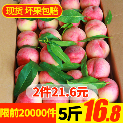 新鲜水蜜桃水果应季当季整箱5斤脆桃血桃包邮毛桃桃子非阳山桃10