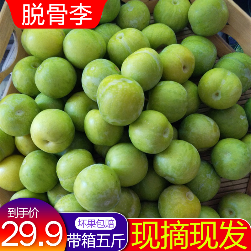 新鲜现摘现发四川脱骨李子脆甜应季孕妇水果含箱5斤大青李子包邮在类目 水产肉类/新鲜蔬果/熟食, 新鲜水果, 李子中 - 来自Buy2taobao.com提供专业的淘宝代购服务