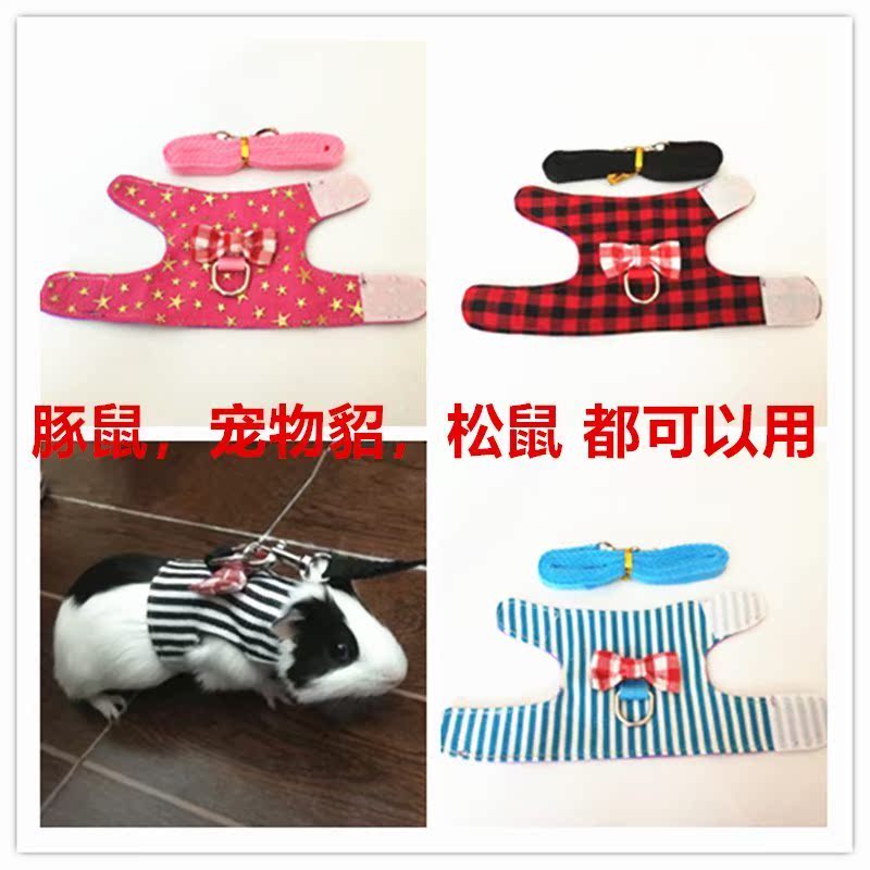 仓鼠松鼠小衣服不勒背带式背心分体可调大小魔王牵引绳花枝鼠衣服|msdalam kategori haiwan peliharaan/makanan haiwan dan bekalan, hamsters kelas haiwan peliharaan dan lain-lain kecil, bekalan haiwan kesayangan kecil (baru), lain - dari Buy2taobao.com untuk memberikan perkhidmatan ejen Taobao profesional membeli
