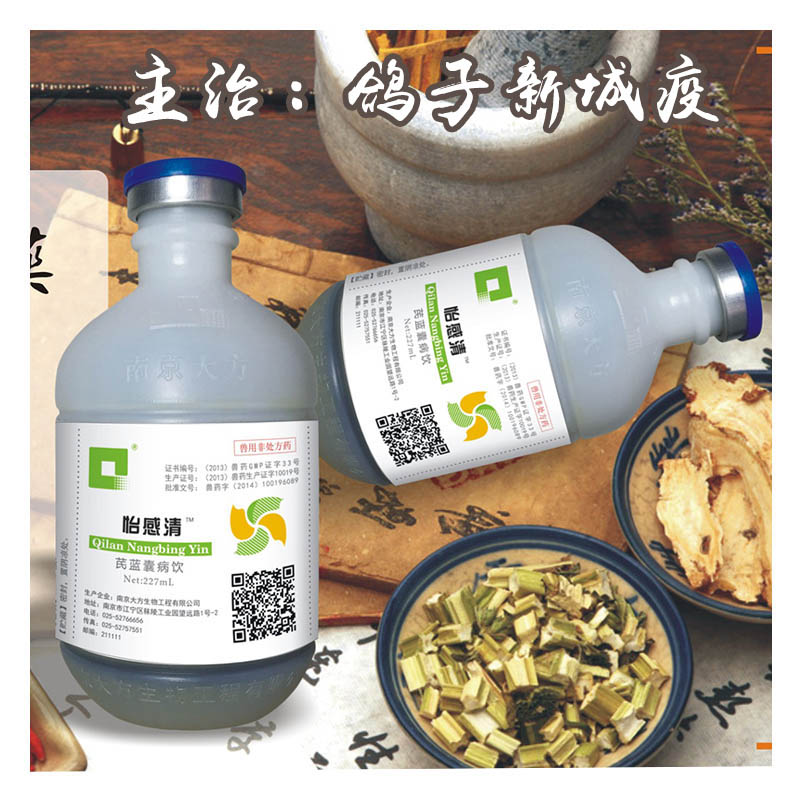 怡感清 鸽子新城疫特效药 鸽子拉稀绿粪扭脖子鸽瘟信鸽赛鸽感冒药|ruв категории животное/Животное питание и принадлежностей, птиц и принадлежностей, медицинских принадлежностей - от Buy2taobao.com для оказания профессиональной услуги покупки агента Taobao