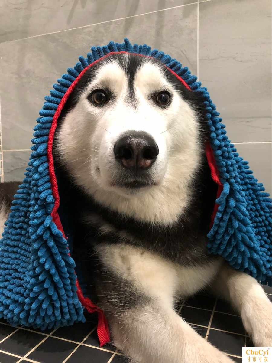 大胖大胖 超强吸水宠物毛巾浴巾犬猫通用可洗头|ruв категории животное/Животное питание и принадлежностей, кошка/собака красоты уборки, полотенце/полотенце/всасывающий полотенце - от Buy2taobao.com для оказания профессиональной услуги покупки агента Taobao
