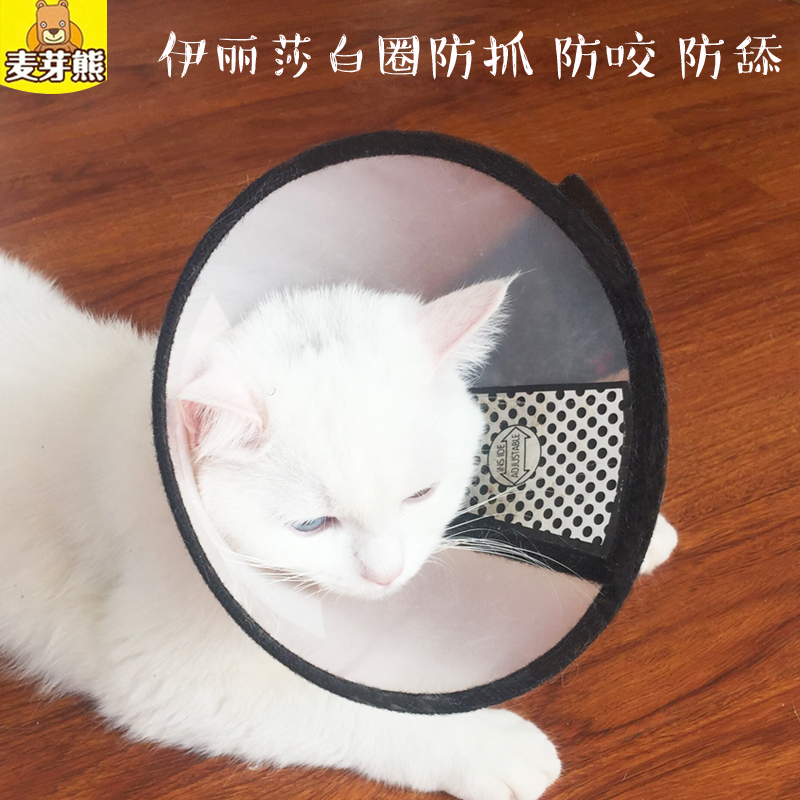 伊麗莎白狗貓防咬圈防舔防抓套寵物脖套防護罩貓圈京滿59包郵在類目 寵物/寵物食品及用品, 貓/狗日用品, 嘴套中 - 來自Buy2taobao.com提供專業的淘寶代購服務