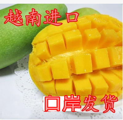 越南新鮮大青芒金煌芒香芒青皮芒果香甜8斤裝包郵非廣西本地芒果在類目 水產肉類/新鮮蔬果/熟食, 新鮮水果, 芒果中 - 來自Buy2taobao.com提供專業的淘寶代購服務