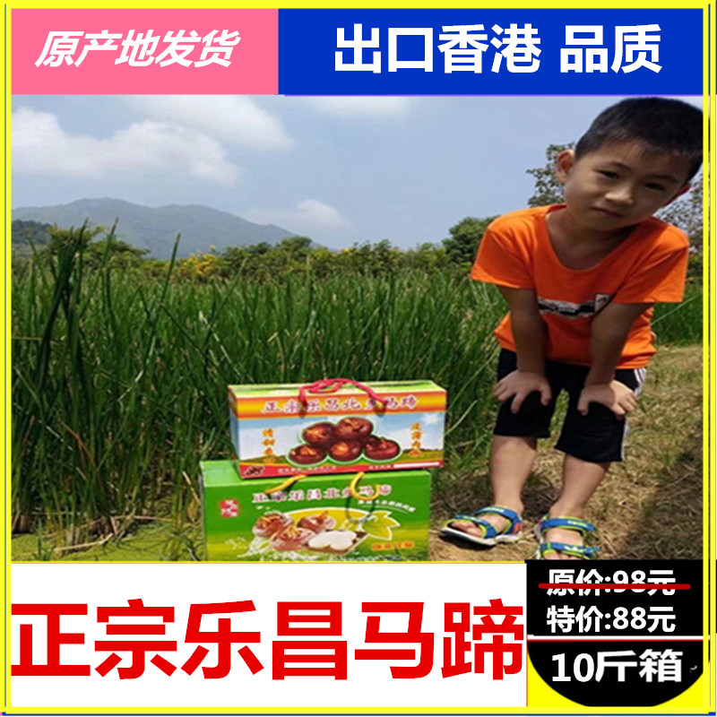 【10斤大果】現挖韶關樂昌新鮮馬蹄水果荸荠出口香港鎮長推薦在類目 水產肉類/新鮮蔬果/熟食, 新鮮蔬菜/蔬菜製品, 新鮮蔬菜, 其它中 - 來自Buy2taobao.com提供專業的淘寶代購服務