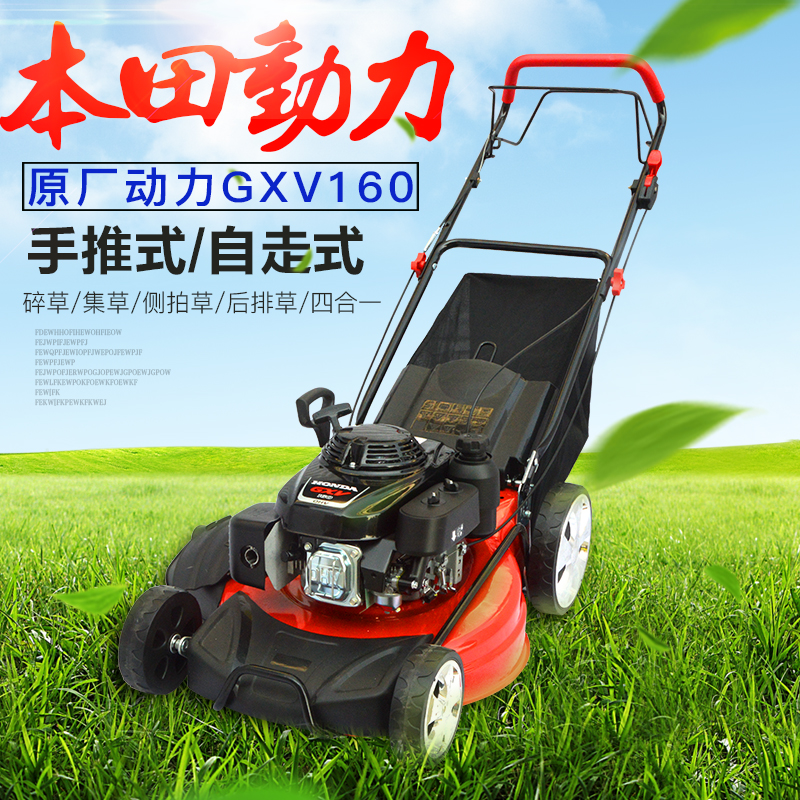 Honda Yamaha Power gasoline Lawn Pruning machine household lawn mower Hand Lawnmower Weederin the Flower delivery/Flowers simulation/Plants gardening , Gardening supplies , Mower/Lawn mower category - from Buy2taobao.com to provide professional Taobao agent buy service