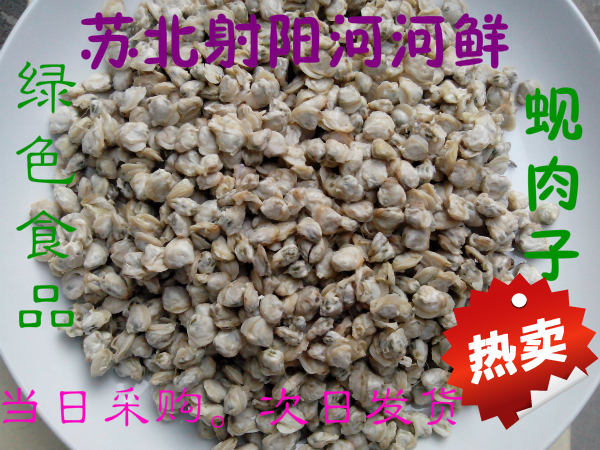盐阜土特产 蚬肉子 喻口蚬子肉 射阳河河鲜在类目 水产肉类/新鲜蔬果/熟食, 海鲜/水产品/制品, 贝类, 贝类制品中 - 来自Buy2taobao.com提供专业的淘宝代购服务
